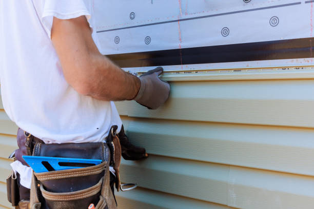 Affordable Storm Damage Siding Repair solutions in Albion, IL